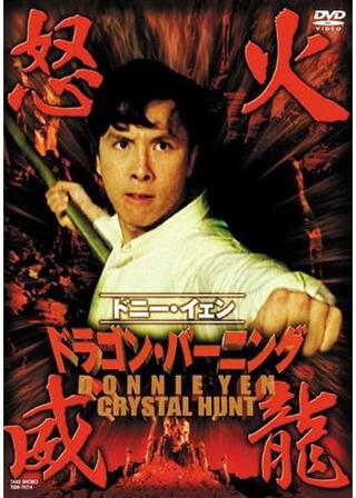 ドラゴン・バーニング 怒火威龍のポスター
