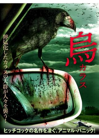 烏 カラスのポスター