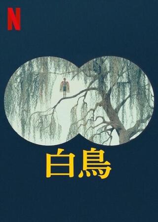 白鳥のポスター