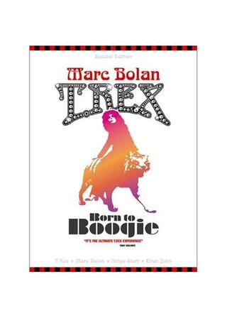 ボーン・トゥ・ブギーのポスター