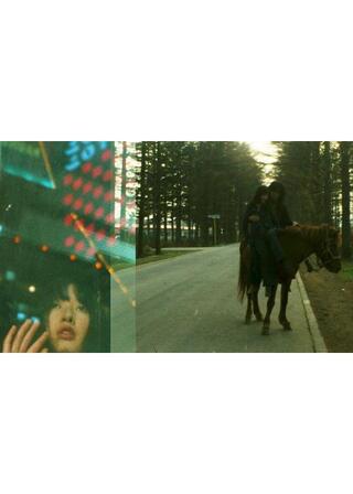 初国知所之天皇のポスター