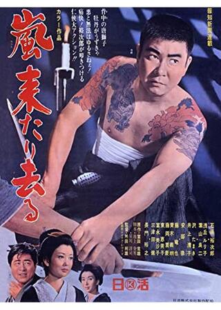 嵐来たり去るのポスター