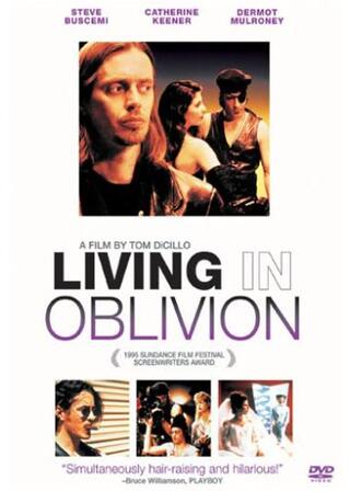 リビング・イン・オブリビオン／悪夢の撮影日誌のポスター