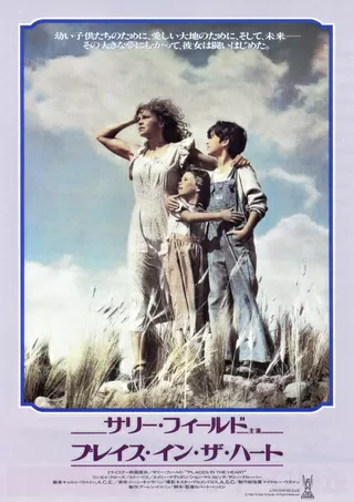 ノーマ レイ 解説 レビュー 評価 映画ポップコーン