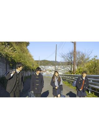 変わらないで。百日草のポスター