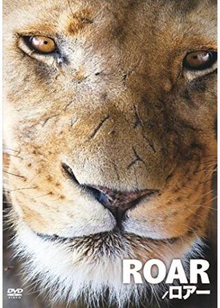 ロアーのポスター