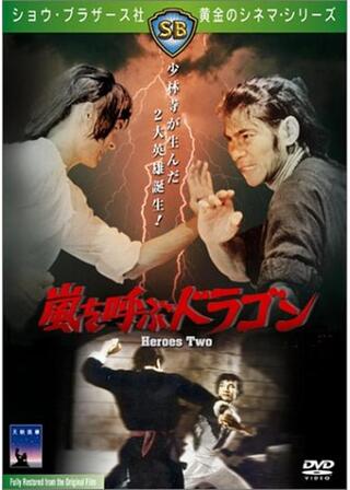 嵐を呼ぶドラゴンのポスター