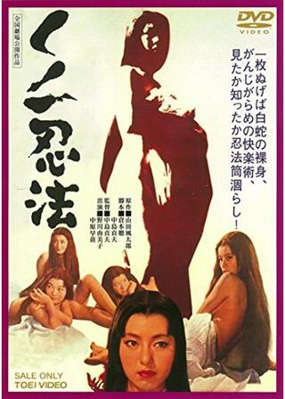 くノ一忍法のポスター