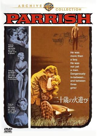 二十歳の火遊びのポスター