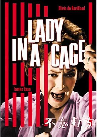 不意打ちのポスター