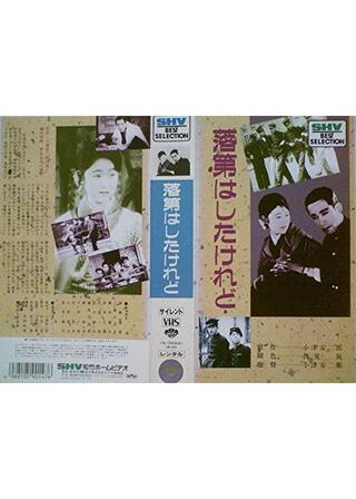 落第はしたけれどのポスター