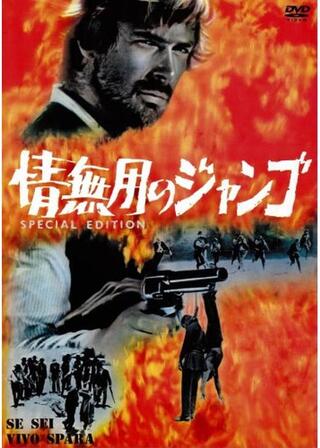 情無用のジャンゴのポスター