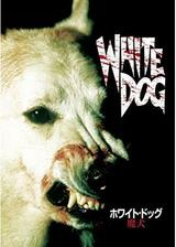 ホワイト・ドッグのポスター