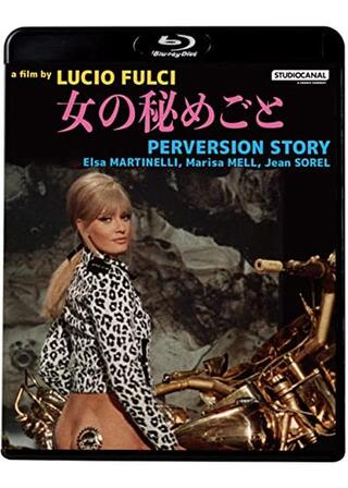 女の秘めごとのポスター