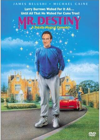 MR.デスティニーのポスター