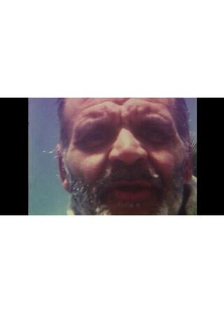 フルチ・フォー・フェイクのポスター