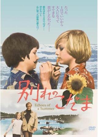 別れのこだまのポスター