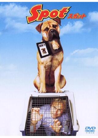 スポットのポスター