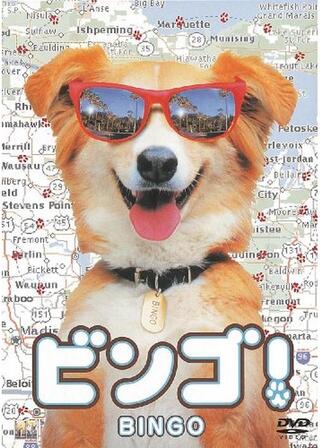 ビンゴ！のポスター