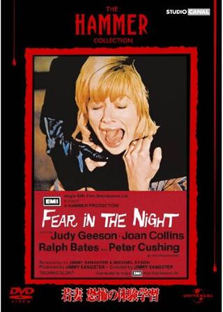 若妻・恐怖の体験学習のポスター