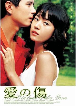 愛の傷のポスター
