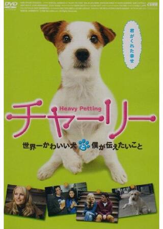 チャーリー 世界一かわいい犬と僕が伝えたいことのポスター