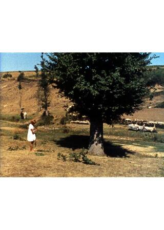 トラス・オス・モンテスのポスター