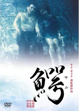 鰐 ワニのポスター