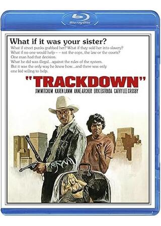 トラックダウンのポスター