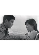 終りなき生命をのポスター