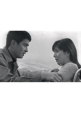 終りなき生命をのポスター