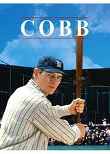 タイ・カップ／Cobbのポスター