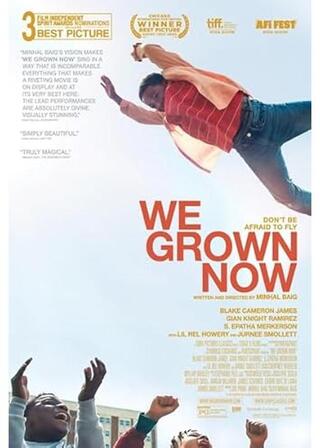 シカゴ･ダイアリーズのポスター