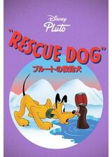 プルートの救助犬のポスター