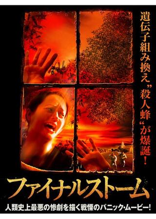 ファイナルストームのポスター