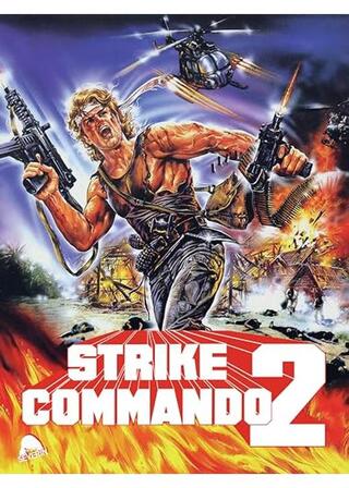 ストライク・コマンドー2のポスター