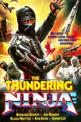 機密ファイル奪回作戦／ニンジャファイターのポスター