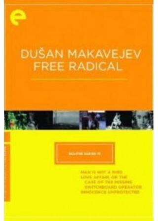 人間は鳥ではないのポスター