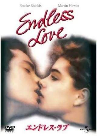 エンドレス・ラブのポスター