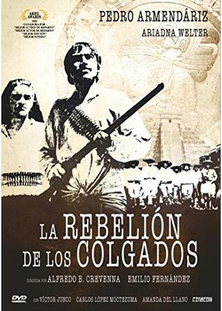 激怒のポスター