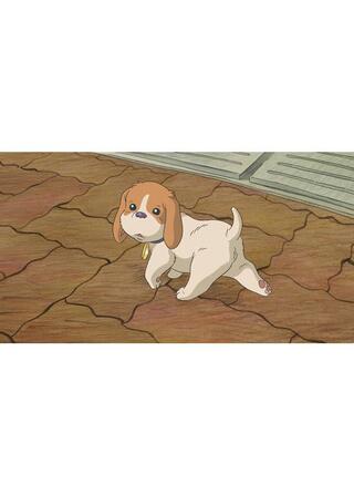 コロの大さんぽのポスター