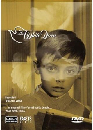 白い鳩のポスター