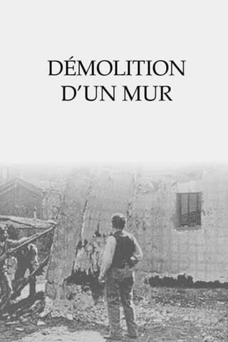 壁の破壊のポスター