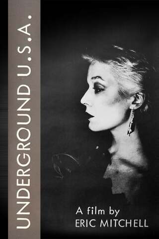 アンダーグラウンドU.S.A.のポスター