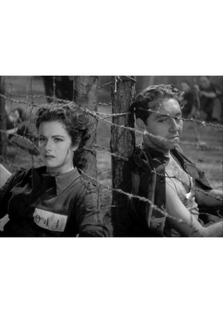 ミュンヘンへの夜行列車のポスター