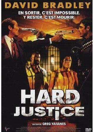 潜入捜査官のポスター