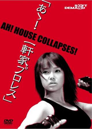 あゝ！一軒家プロレスのポスター