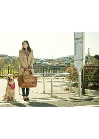 LOVE まさお君が行く！のポスター