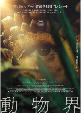 動物界のポスター