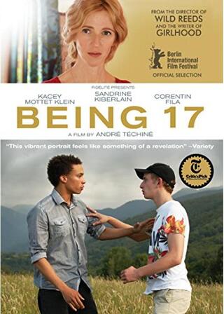 17歳にもなるとのポスター